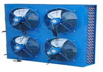 FN���L(f��ng)��������