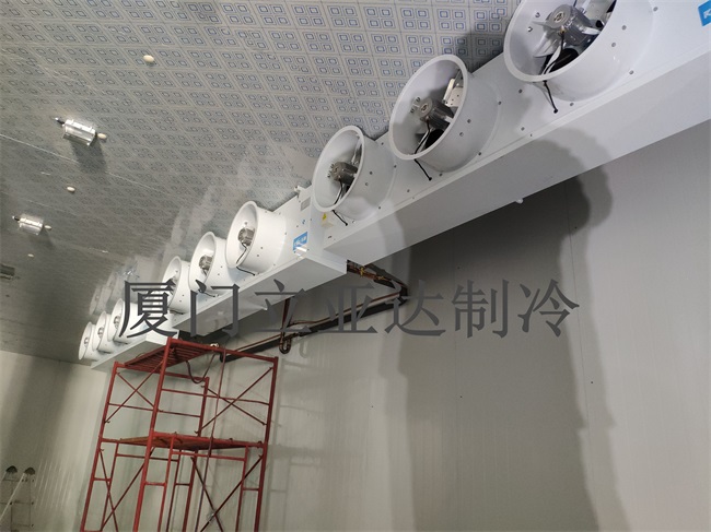 �B(y��ng)�����췿�