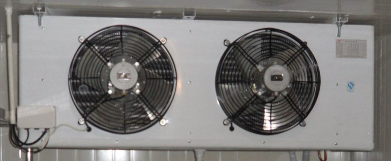 DL��ϵ�����L�C